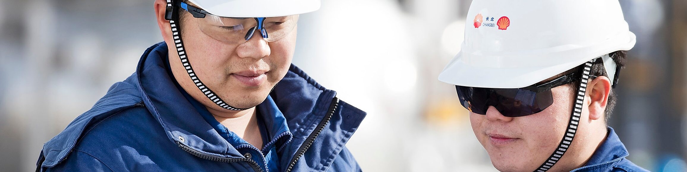 Shell employees reviewing documents