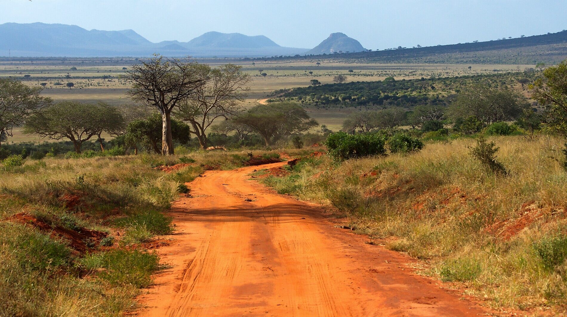 Narrow village road in landscape