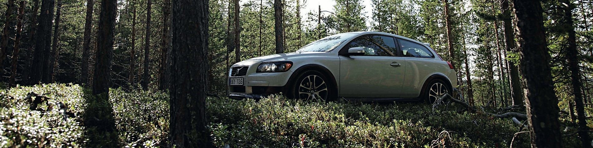 Car on the forest road